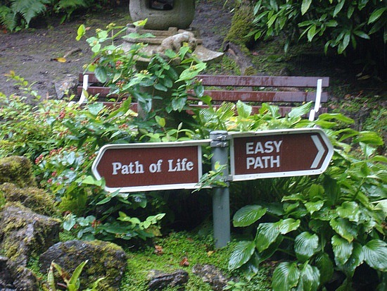 path-of-life